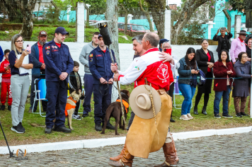 Foto - Desfile Cívico Farroupilha 2025