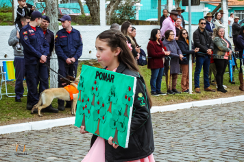 Foto - Desfile Cívico Farroupilha 2025