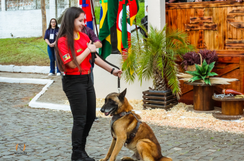 Foto - Desfile Cívico Farroupilha 2025