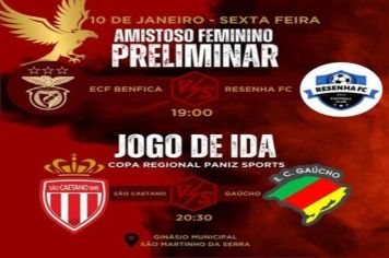 COPA REGIONAL PANIZ SPORTS