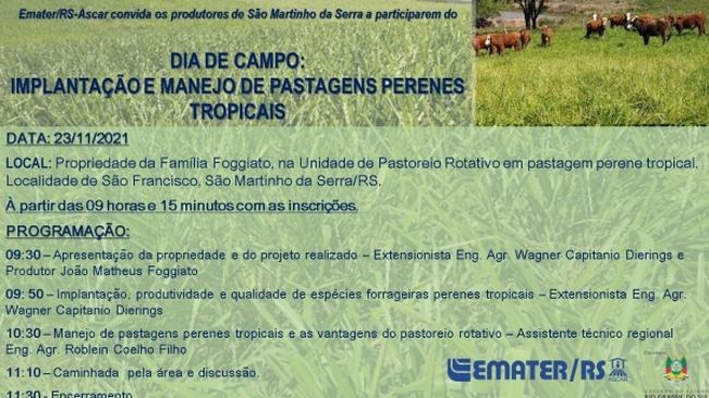Dia de Campo