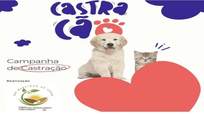 PROJETO DE CASTRAÇÃO ANIMAL SERÁ INICIADO