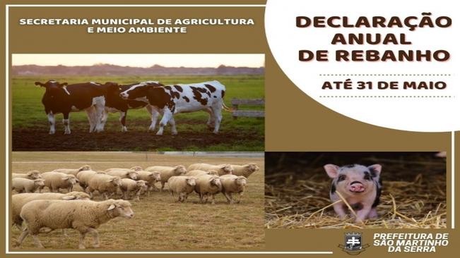Declaração de Rebanho